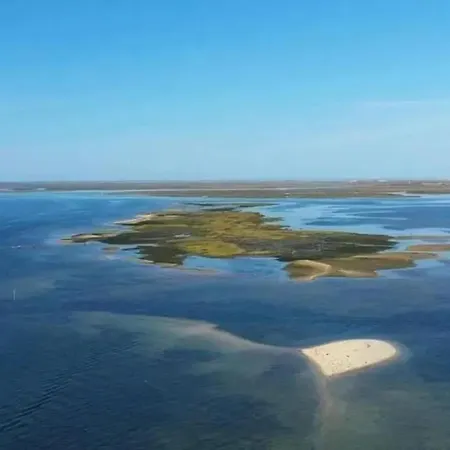 Charming Studio with Terrace in São Brás de Alportel, 32 m² *