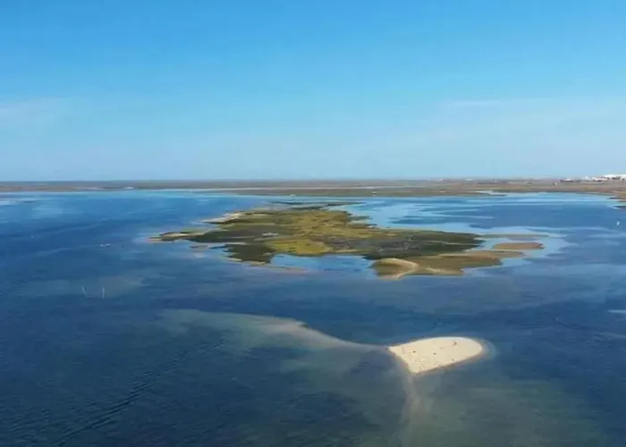 Charming With Terrace In Sao Bras De Alportel, 32 M² *